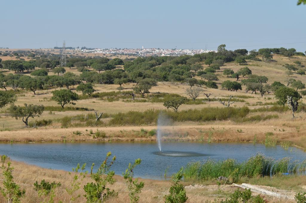 Monte Da Ameixa Country House Кастро Верде Екстериор снимка